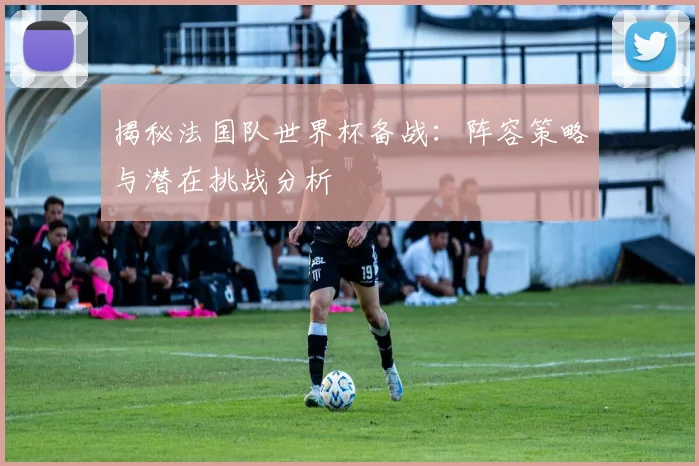 揭秘法国队世界杯备战：阵容策略与潜在挑战分析