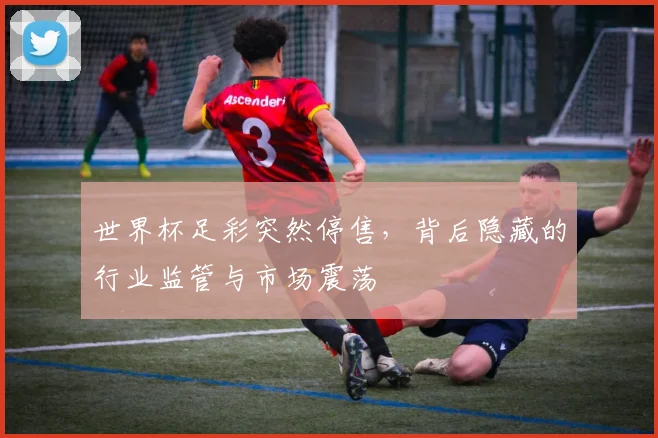 世界杯足彩突然停售，背后隐藏的行业监管与市场震荡