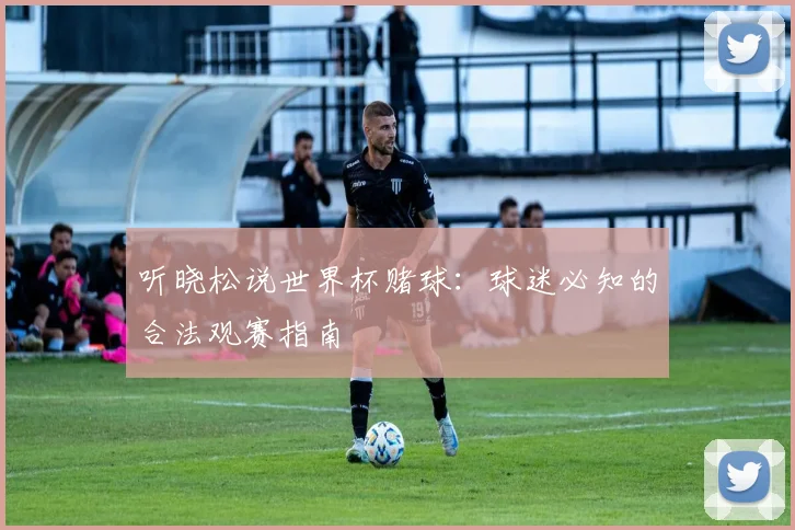 听晓松说世界杯赌球：球迷必知的合法观赛指南