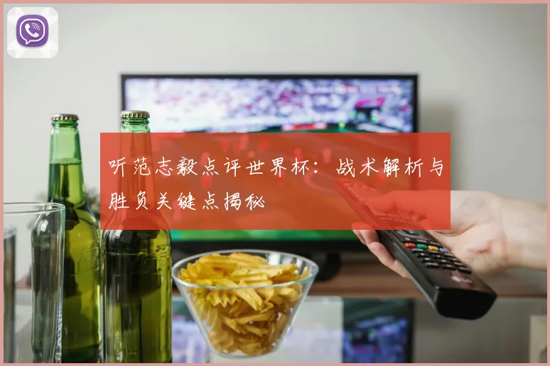 听范志毅点评世界杯：战术解析与胜负关键点揭秘