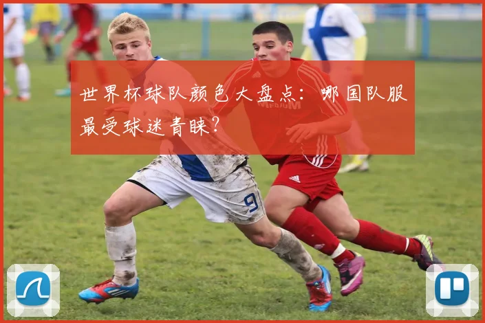世界杯球队颜色大盘点:哪国队服最受球迷青睐?