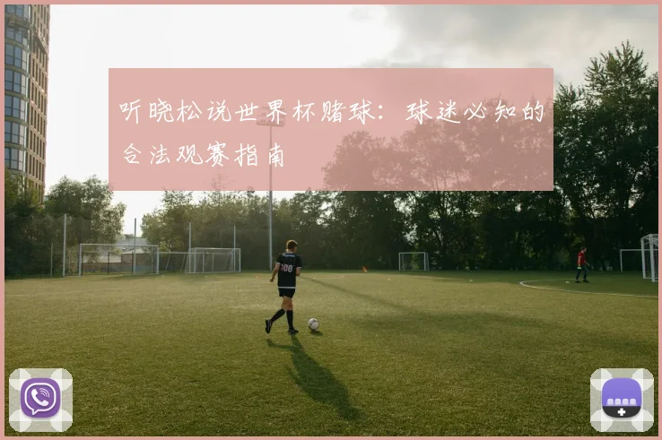 听晓松说世界杯赌球：球迷必知的合法观赛指南